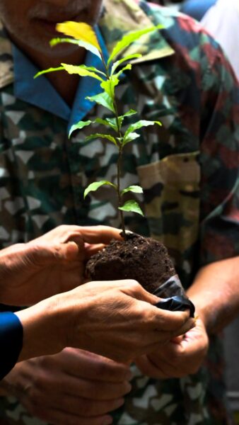 – Estevão Credito paula da Costa Baptista